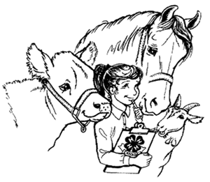 4-H girl with farm animals